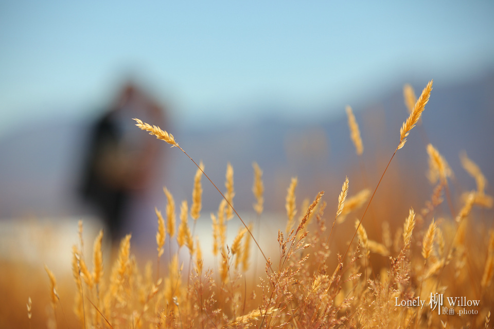 20130218_mtjohn-golden0017