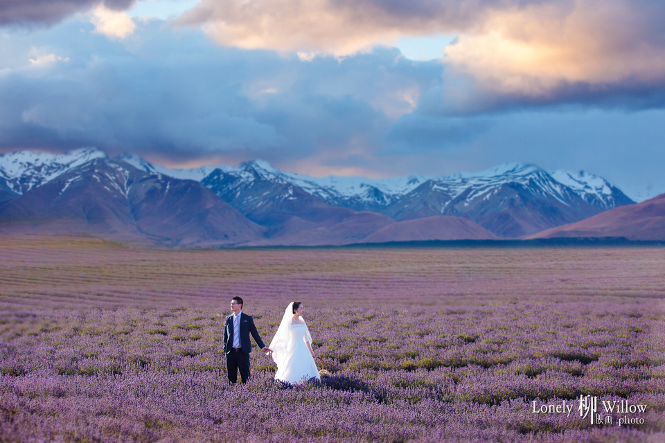 20160216buer_lavendar0009