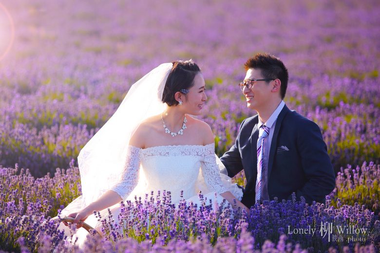 20160216buer_lavendar0035