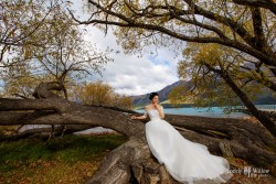 20160427qyer_tree0002