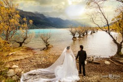 20160427qyer_tree0016