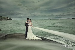 20160401mimi_choice0001