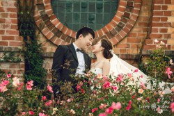 20160401mimi_choice0006