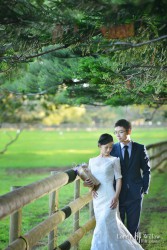 20160418chrischen_trees0018