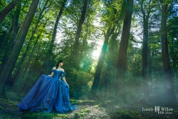 20160707tifanny_trees0022