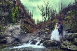 2016080317cha_creek0006