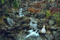 2016080317cha_creek0027