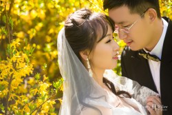 20161006anran_garden0058