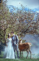 20161009jenny_deer0020