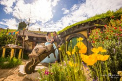 20161022phyllis_hobbiton0157_1