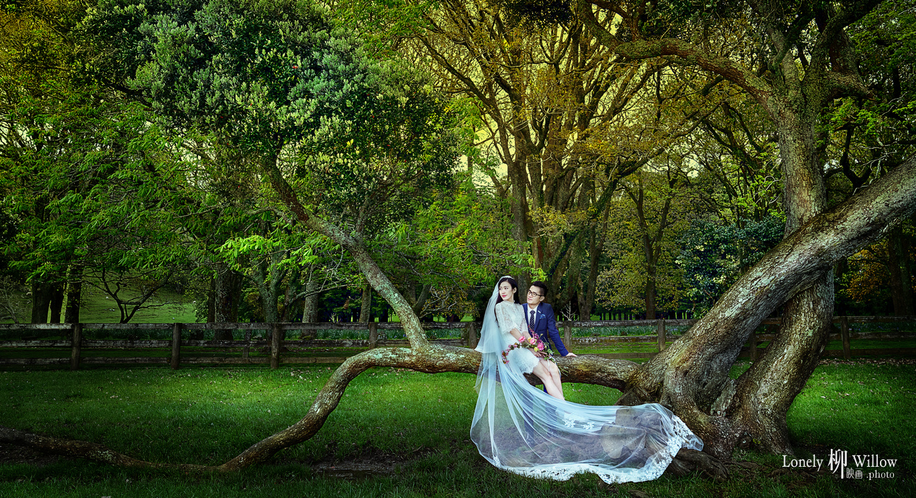 201611001elleround_park0094C