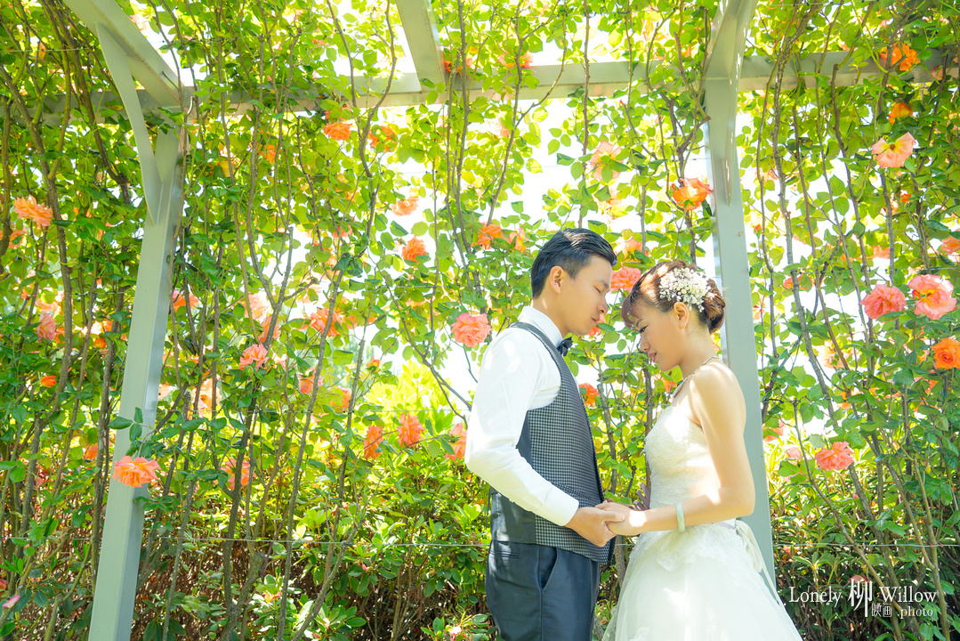 20161201ccmao_roses0037