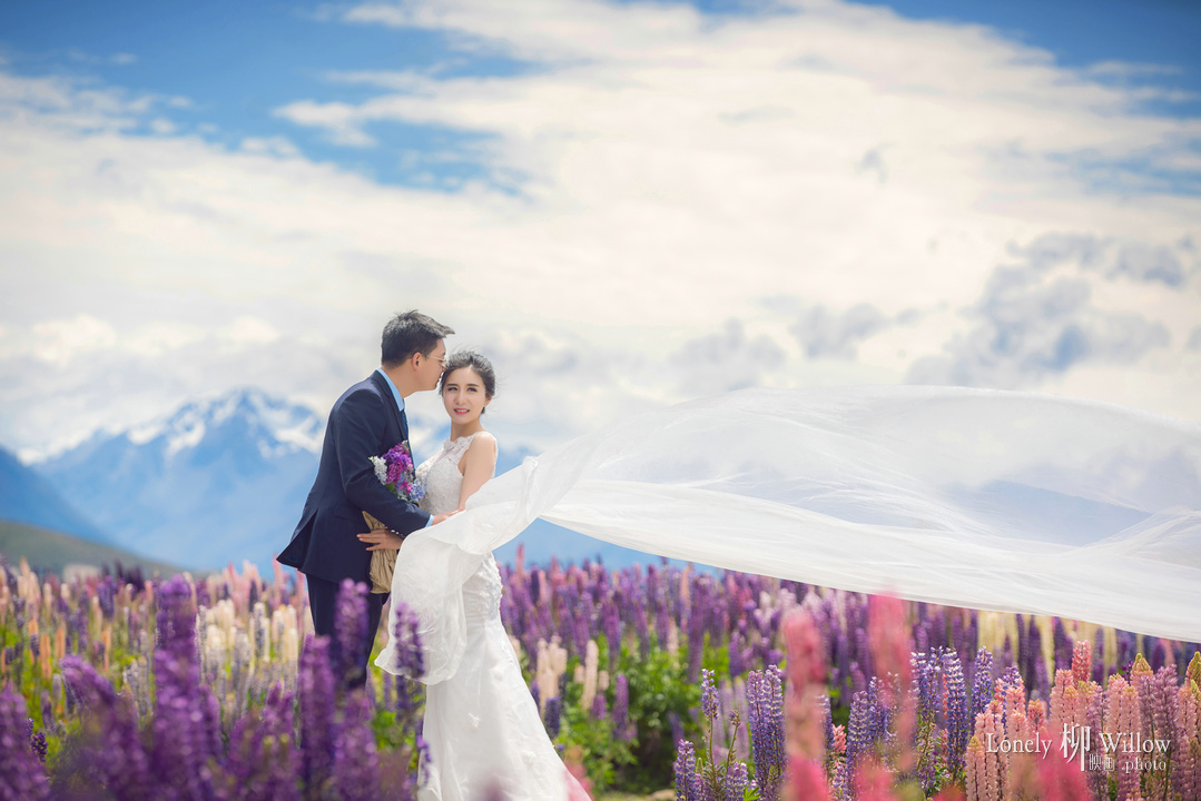 20161209crdm_lupins0016