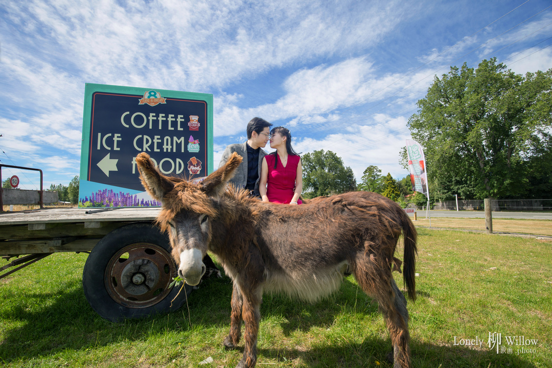 20170204lishuyi_caonima0016