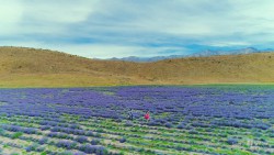 20170204lishuyi_mv-4k1.mp4_20170330_183050.437