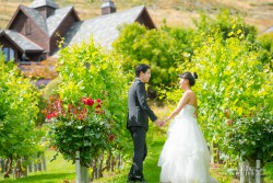 20170204lishuyi_vineyard0003