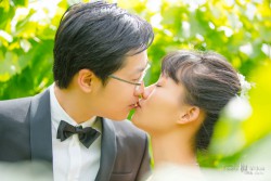 20170204lishuyi_vineyard0045