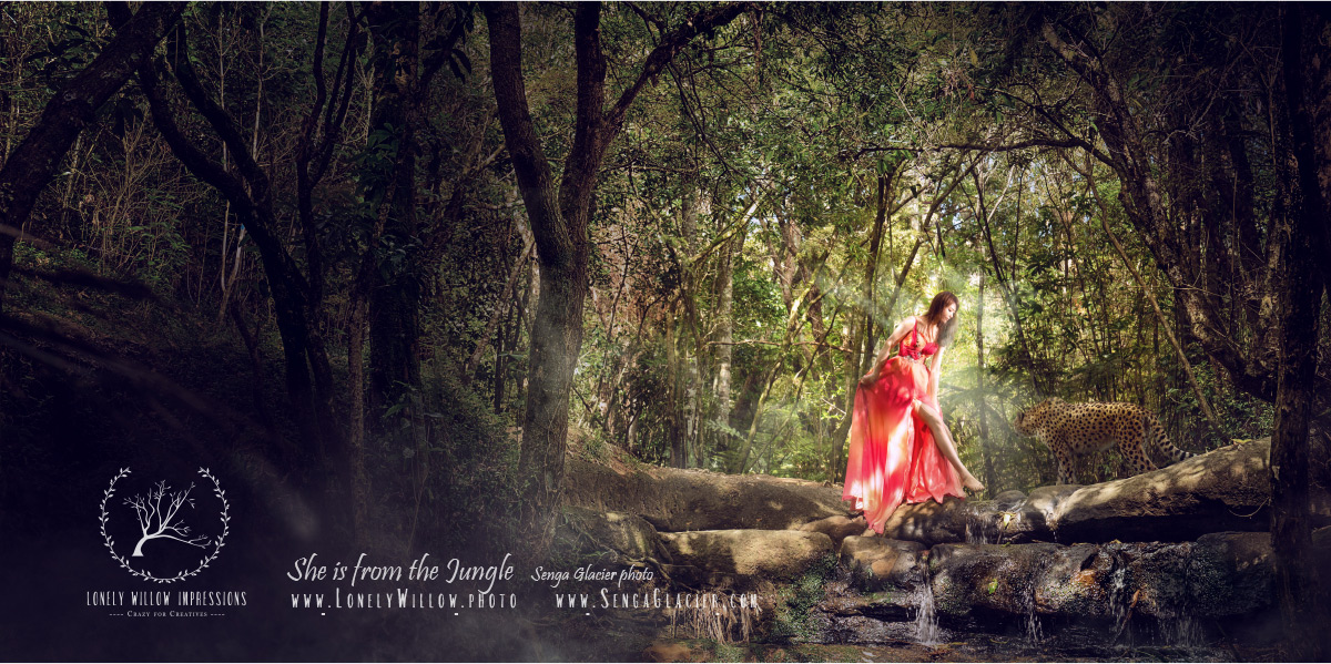 20170317cocoforest_webdesign-1