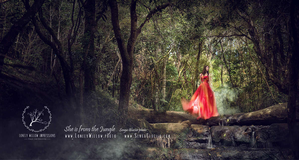 20170317cocoforest_webdesign-2