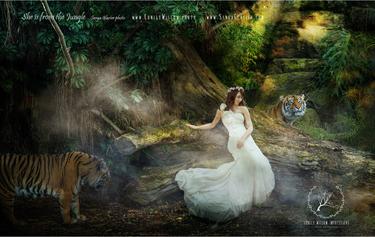 20170317cocoforest_webdesign-3