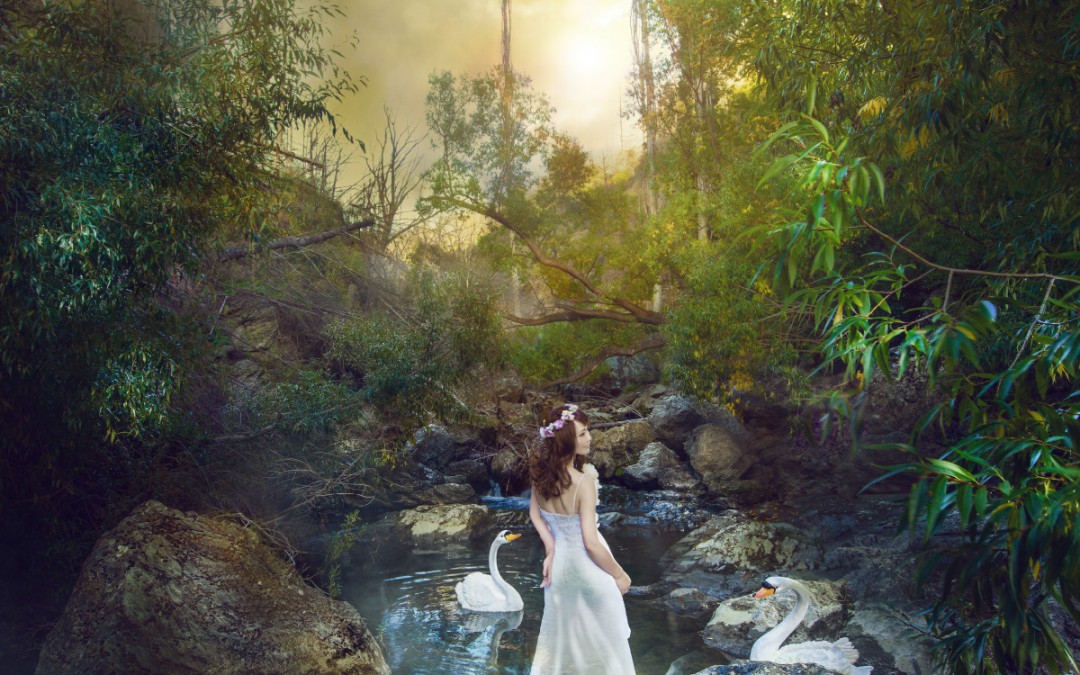 20170317cocoforest_webdesign-5