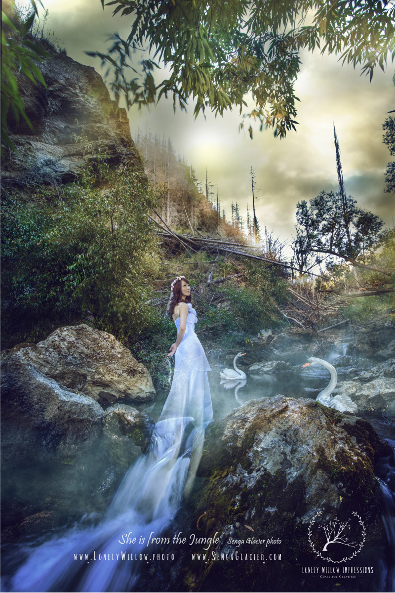 20170317cocoforest_webdesign-9