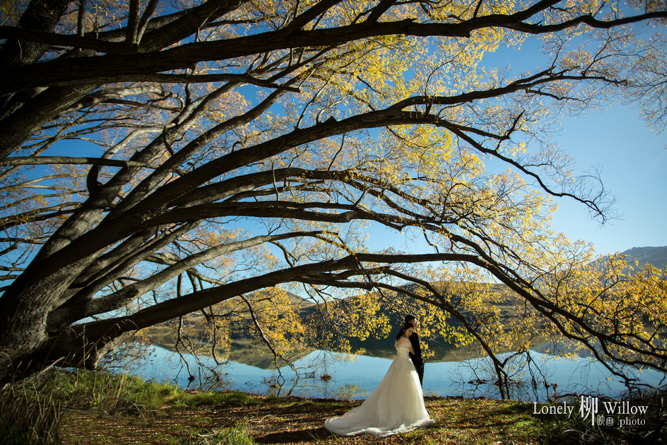 20170505iris_tekapo0154