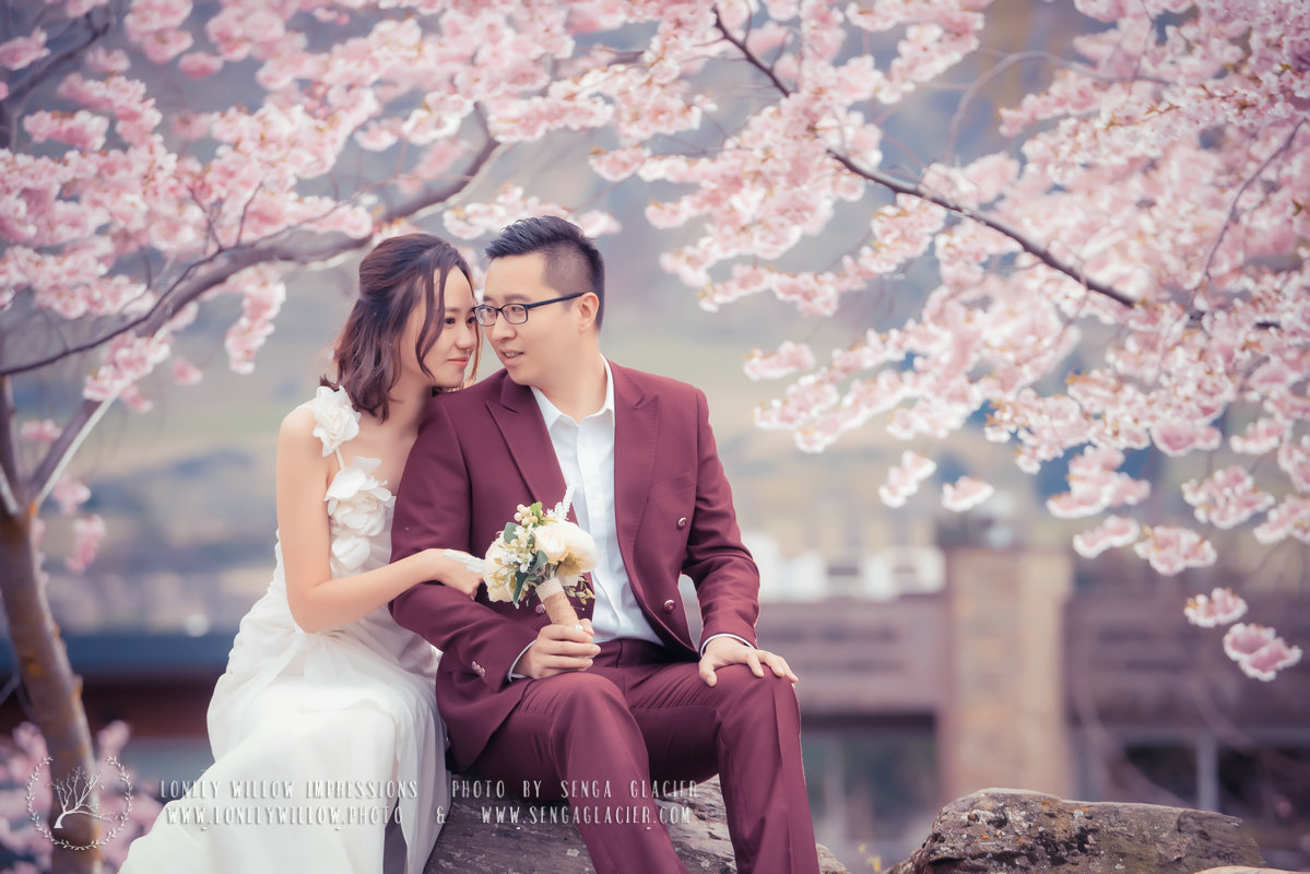 20170923paul_sakura0019