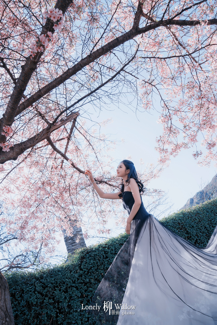 20171003valentinahe_sakura0073