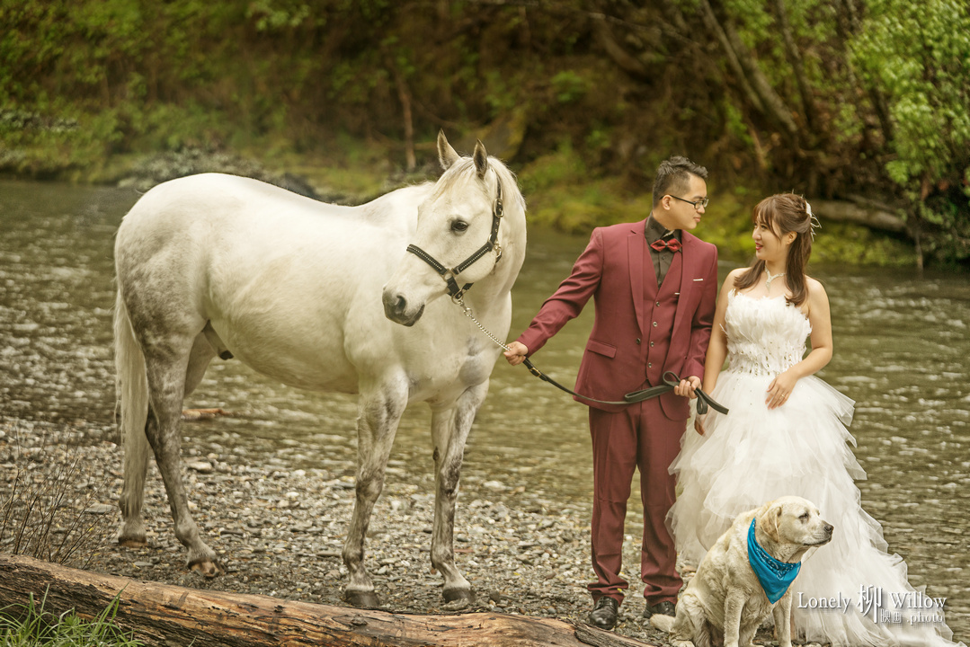 20171025yuechen_horse0074