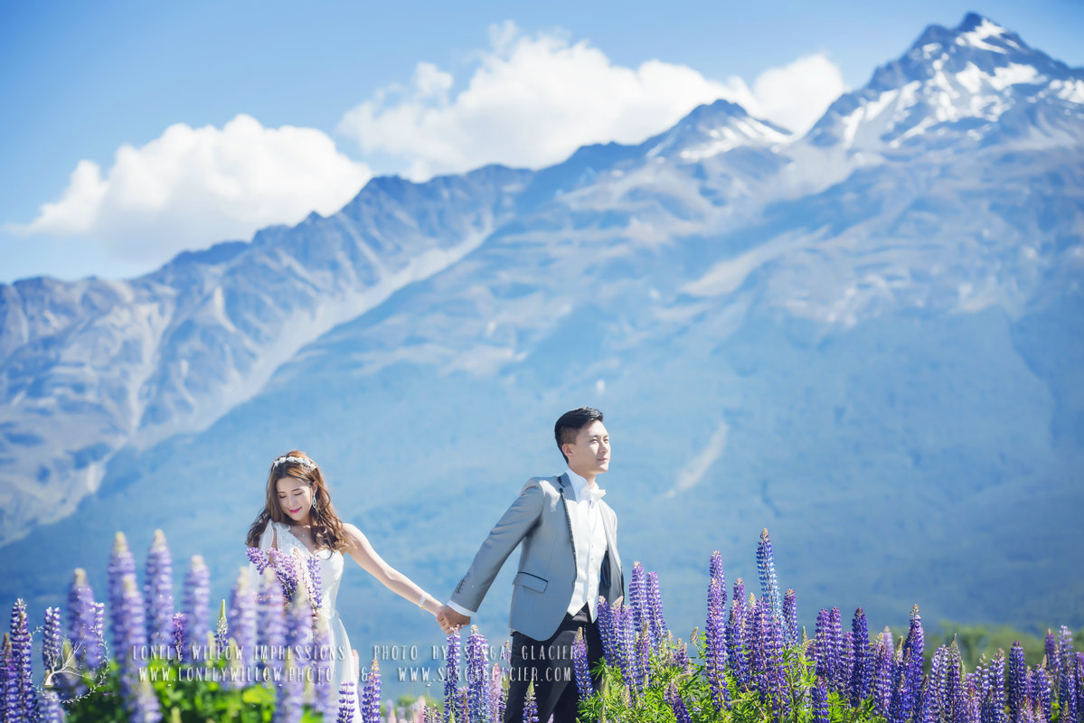 20171122jm-lupins0033