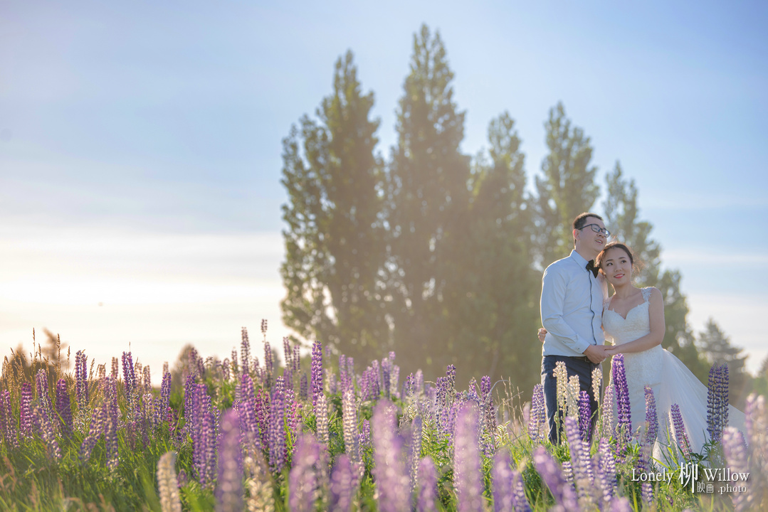 20171202kevcui_lupins0116