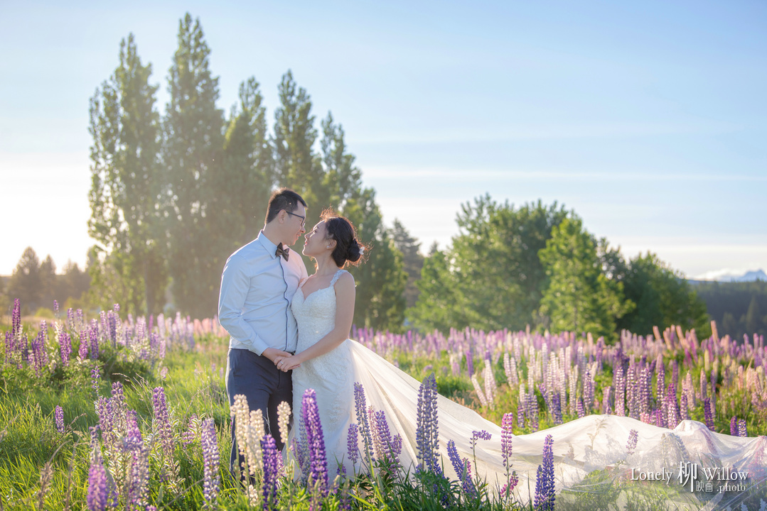 20171202kevcui_lupins0123