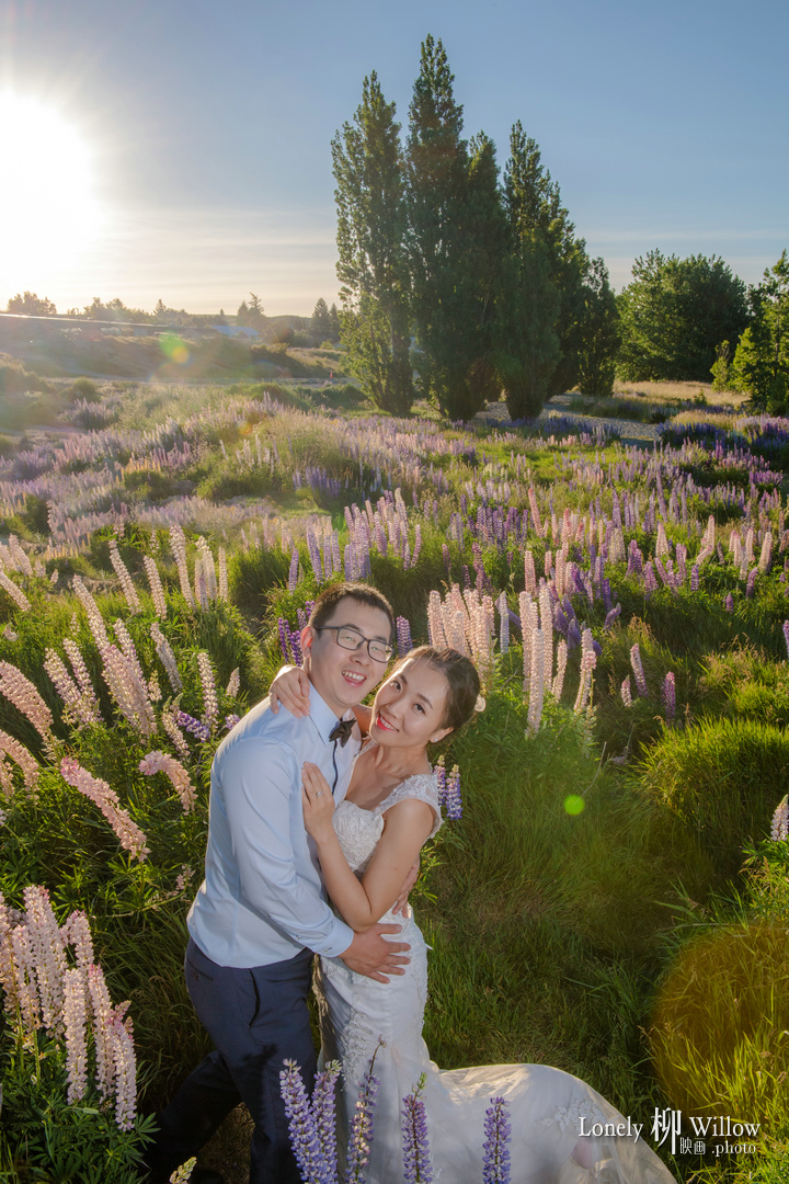 20171202kevcui_lupins0150