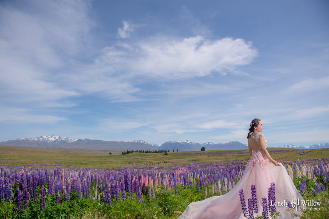 20171203kevcui_lupins0155