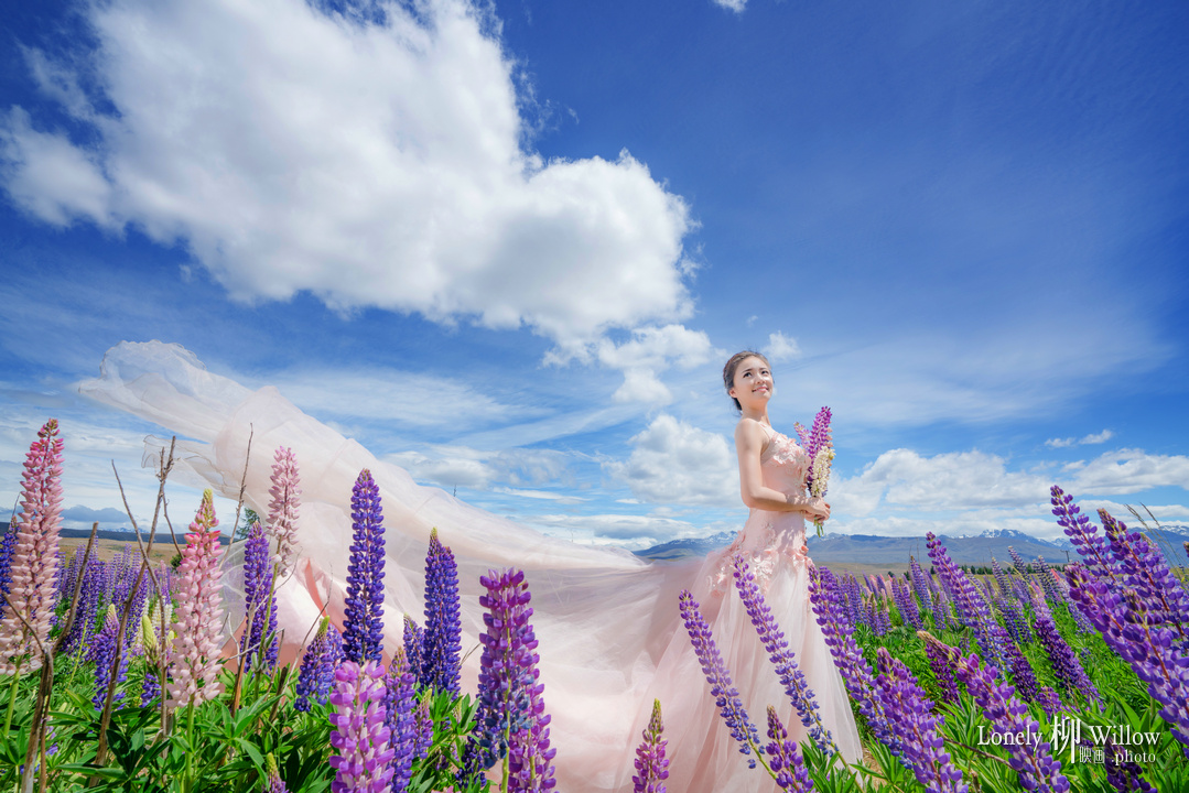 20171208lzlt_lupins0100