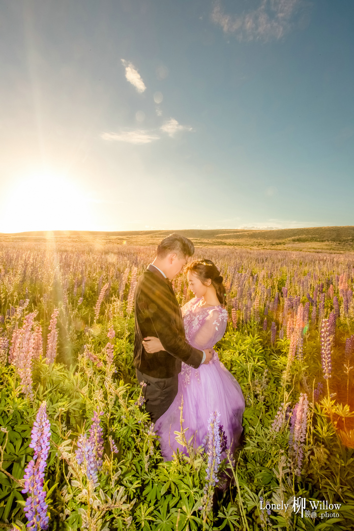 20171228GotikKen_lupins0017