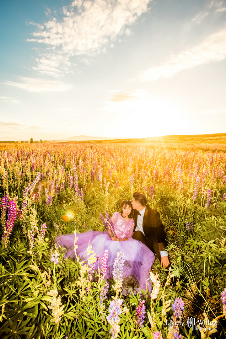 20171228GotikKen_lupins0044