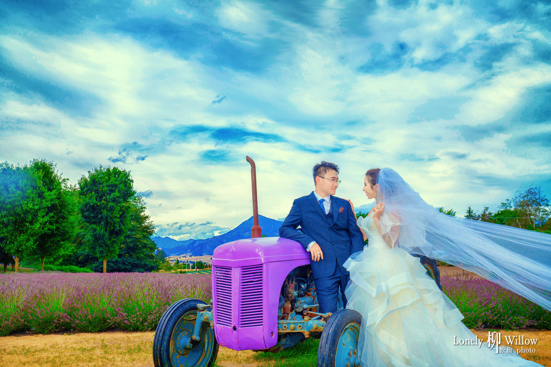 20180124ouxiaoyang_lavendar0028