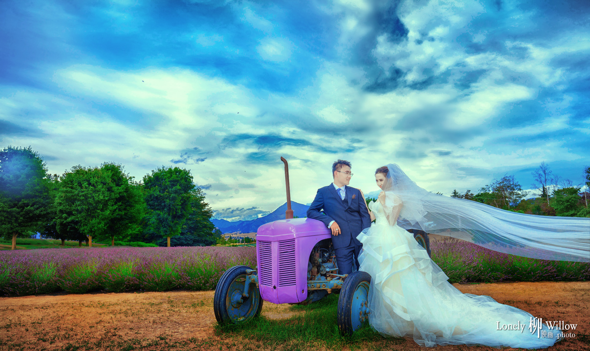 20180124ouxiaoyang_lavendar0029