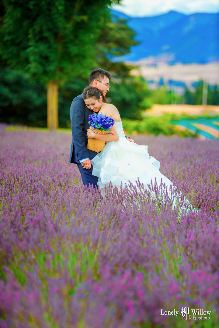 20180124ouxiaoyang_lavendar0049