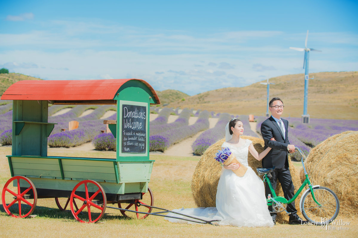 20180125tangtuanzai_lavender0024