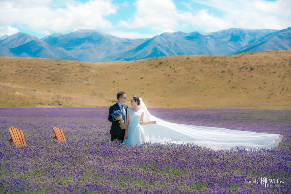 有薰衣草的夏天