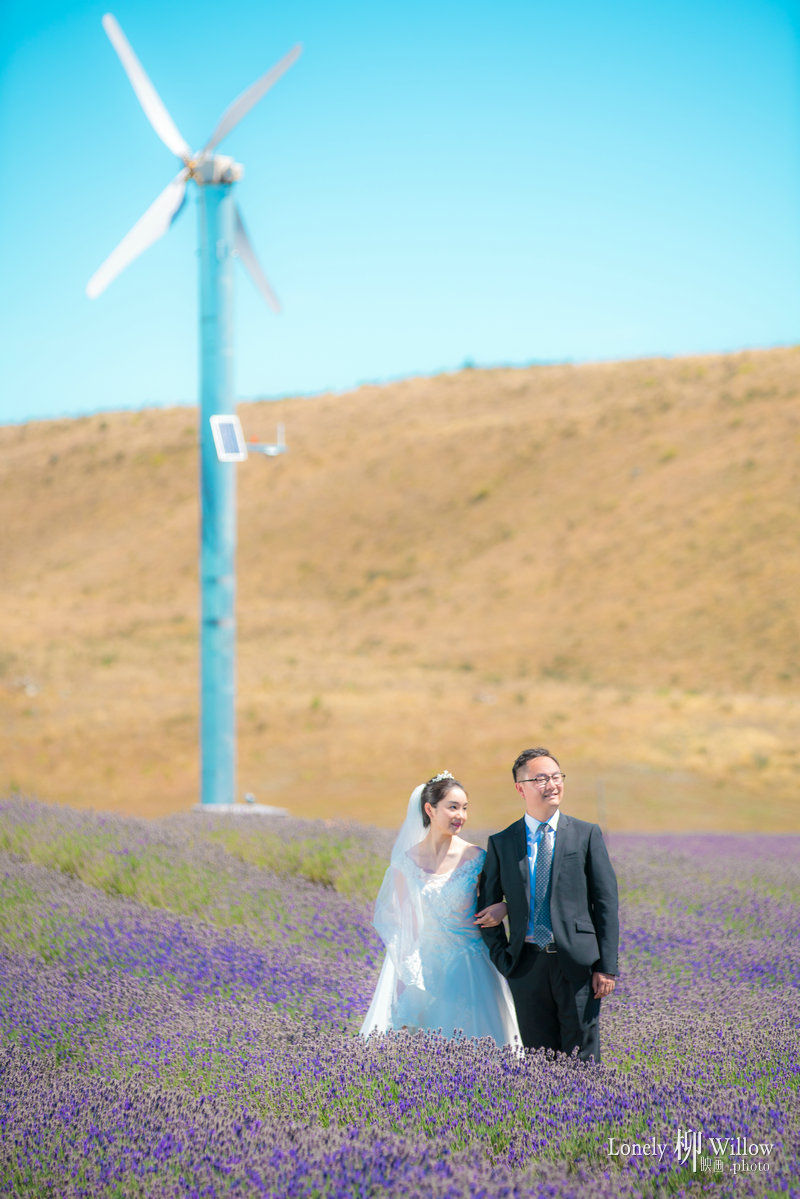 20180125tangtuanzai_lavender0156