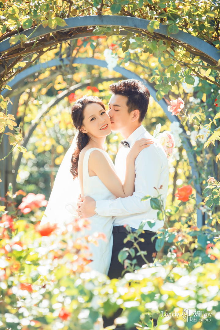 20180216zimujin_roses0015