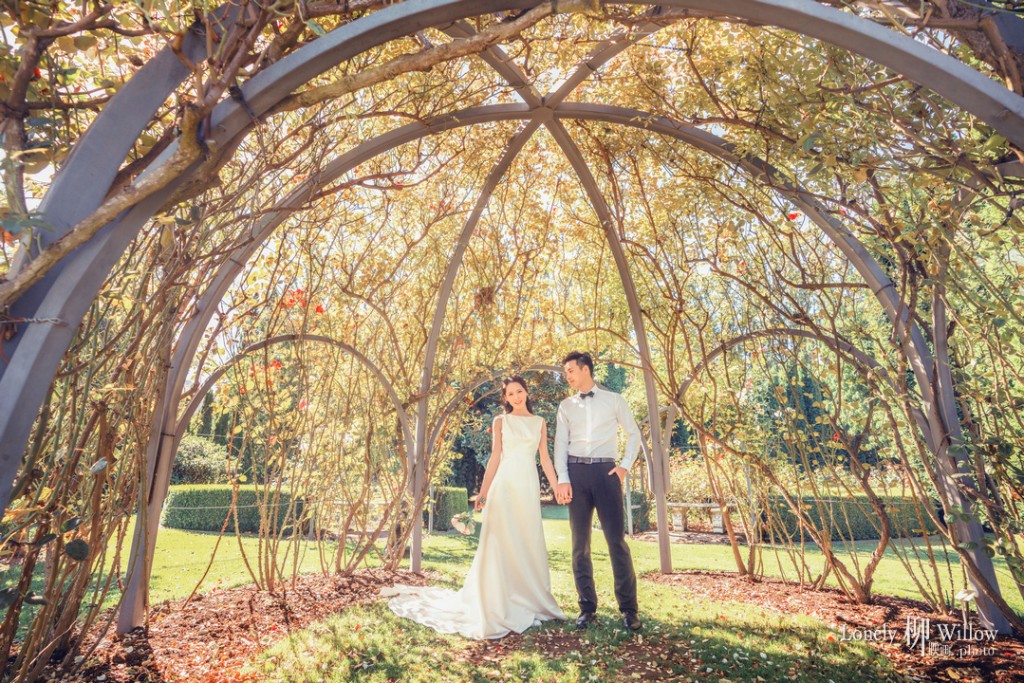 20180216zimujin_roses0036