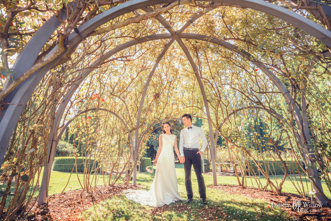 20180216zimujin_roses0036