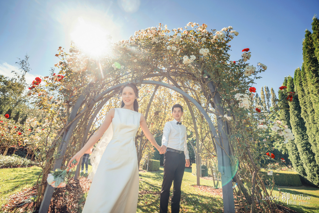 20180216zimujin_roses0057