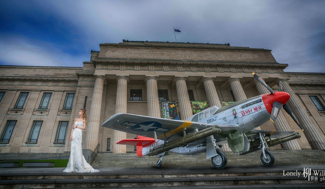 二战美国野马战斗机