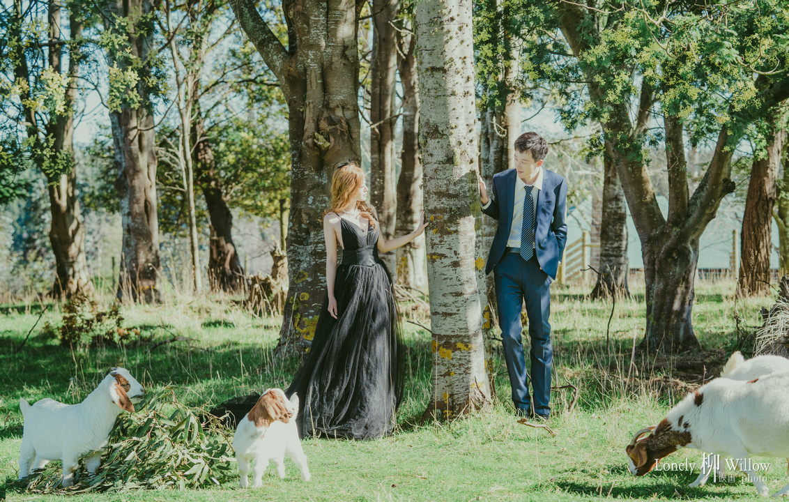 20180905jiangfan_farmgoats0035